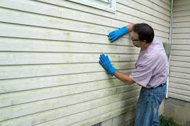 Best Vinyl Siding Installation  in Brownsburg, IN